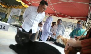 vaksinasi rabies