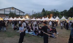 Yayaya fest